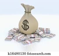 Bag with money