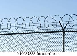 Barbwire Barbwire