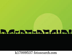 Beef cattle and milk cow herd in countryside field landscape illustration background vector Beef cattle and milk cow herd in countryside field landscape illustration background vector