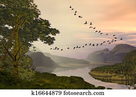 Birds Flying Over Landscape Birds Flying Over Landscape
