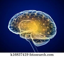 Brain impulses. Thinking prosess Brain impulses. Thinking prosess