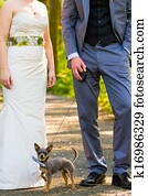 Bride Groom Dog Bride Groom Dog