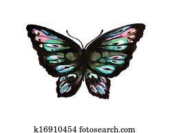 butterfly, watercolor design butterfly, watercolor design