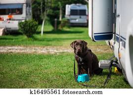 Camping Camping