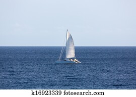 Catamaran Sailing