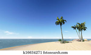 coconuts on the beach.