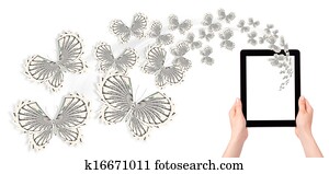 concept of successful butterfly