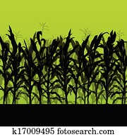Corn field detailed countryside landscape illustration background vector Corn field detailed countryside landscape illustration background vector