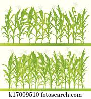 Corn field detailed countryside landscape illustration background vector Corn field detailed countryside landscape illustration background vector