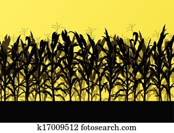 Corn field detailed countryside landscape illustration background vector Corn field detailed countryside landscape illustration background vector