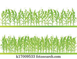 Corn field detailed countryside landscape illustration background vector Corn field detailed countryside landscape illustration background vector