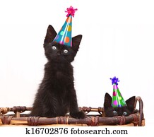 curioso, gatinhos, dentro, um, cesta, branco