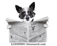 cão, jornal