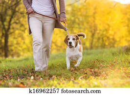 Dog walk Dog walk