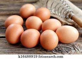 Eggs Eggs