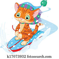 Fast fun Kitten Fast fun Kitten