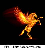 feuer, pegasus. feuer, pegasus.