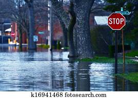 Flooded Street Flooded Street