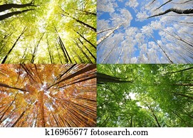 Four seasons Four seasons