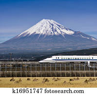 Fuji Fuji