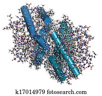 gato, alergênio, (fel, d, 1), protein., principal, causa, de, alergia, para, cats.