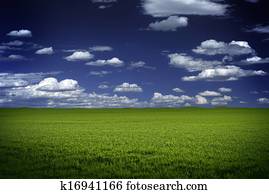 Green Field and Blue Sky Green Field and Blue Sky