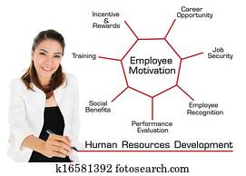 Human Resources Development Concept