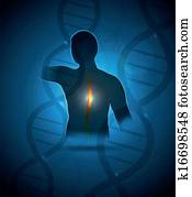 humano, dolor de espalda