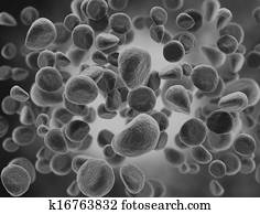 Illustration of cells 