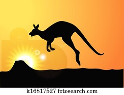 kangaroo kangaroo