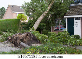 LEEUWARDEN, NETHERLANDS, OKTOBER 28, 2013: Massive storm hit the north of the Netherlands, total damage has been estimated at over 100 million euro. LEEUWARDEN, NETHERLANDS, OKTOBER 28, 2013: Massive storm hit the north of the Netherlands, total damage has been estimated at over 100 million euro.