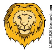 lion lion