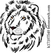 lion illustration lion illustration