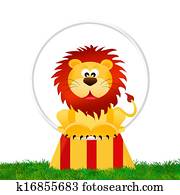 Lion in the circus Lion in the circus