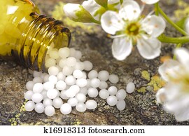 medicina alternativa, e, homeopatia