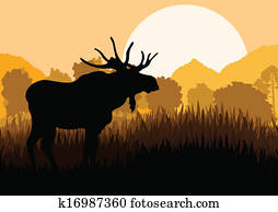 Moose in wild nature landscape background Moose in wild nature landscape background