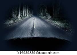 Night Driving Thru Forest Night Driving Thru Forest