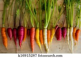 orgânica, cenouras