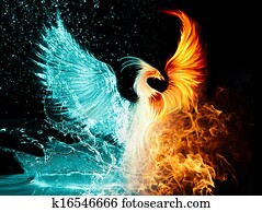 phoenix