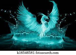 phoenix phoenix