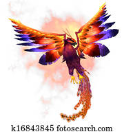 Phoenix Rising Phoenix Rising