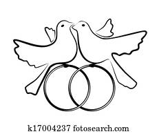 pigeons pigeons