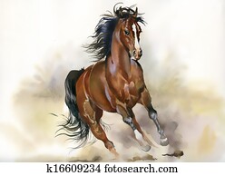 Running horse Running horse