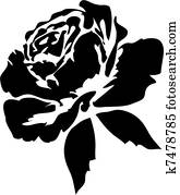 schwarz, rosen schwarz, rosen