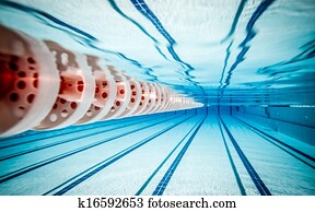swimming pool swimming pool