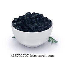 The amazon acai fruit The amazon acai fruit