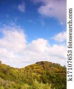 Tower Hill State Game Reserve