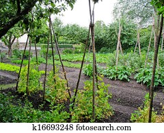 Vegetable garden Vegetable garden