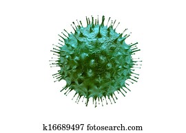Virus Virus
