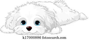 White Puppy White Puppy
